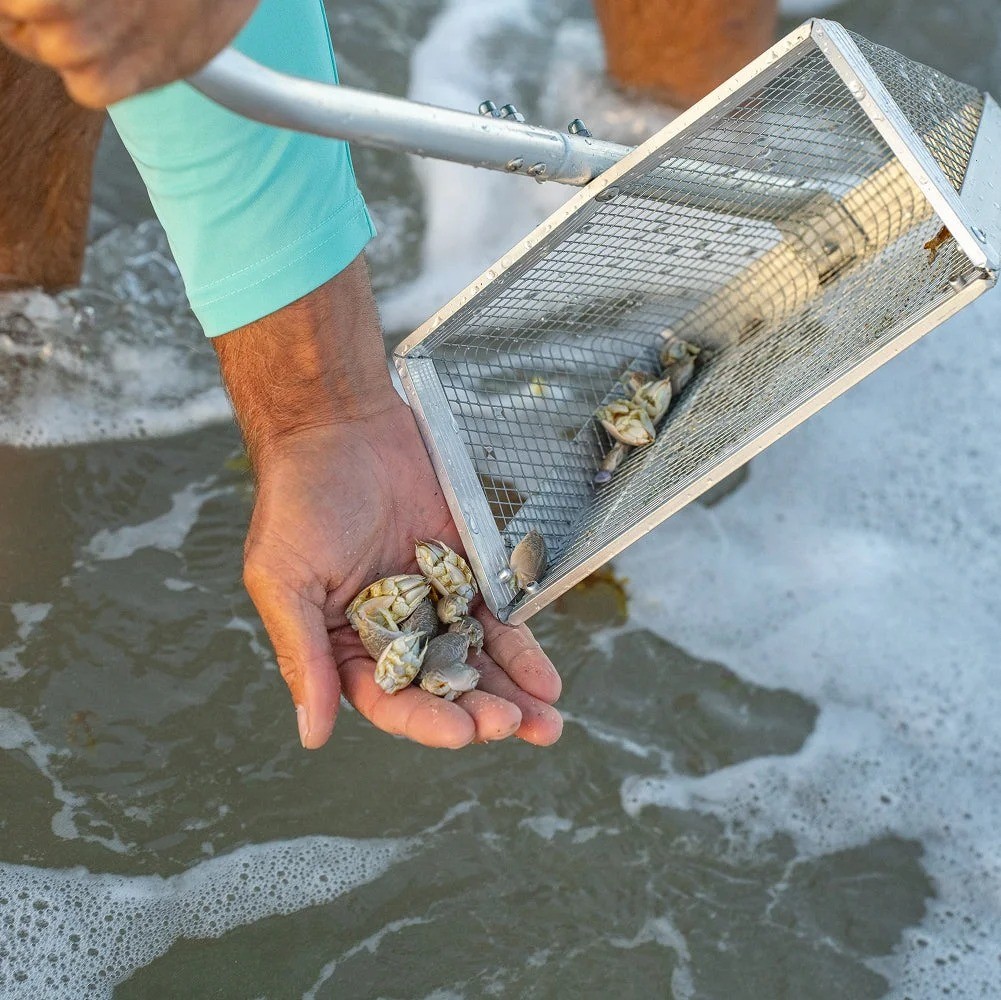 Sand Flea Rake – Galvanized Steel Basket with Aluminum Handle