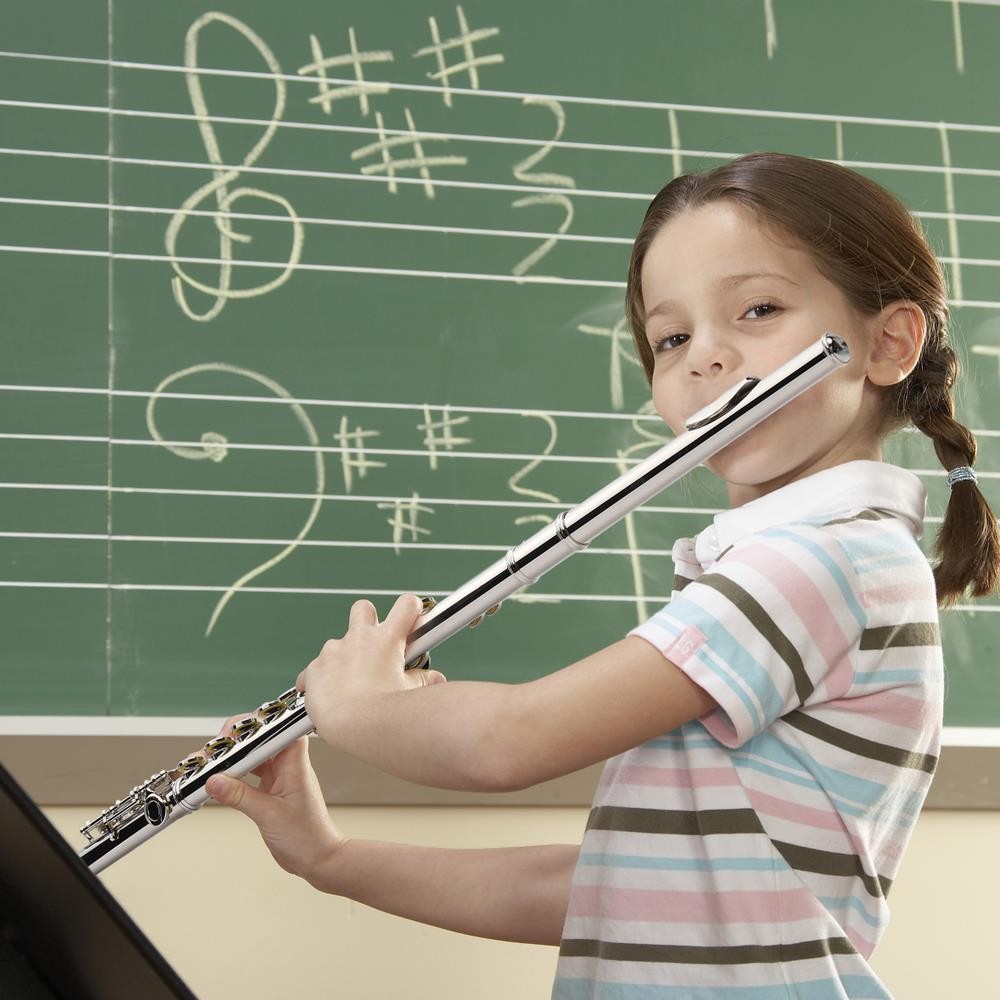 Ktaxon Professional Nickel Plated C Closed 16 Hole Concert Band Flute with E Key