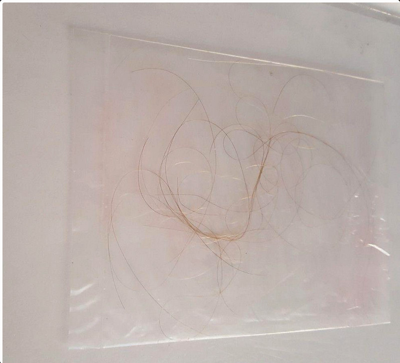 Authentic OZZY Osbourne Hair Strand Relic Memorabilia Collectible Rare w/COA