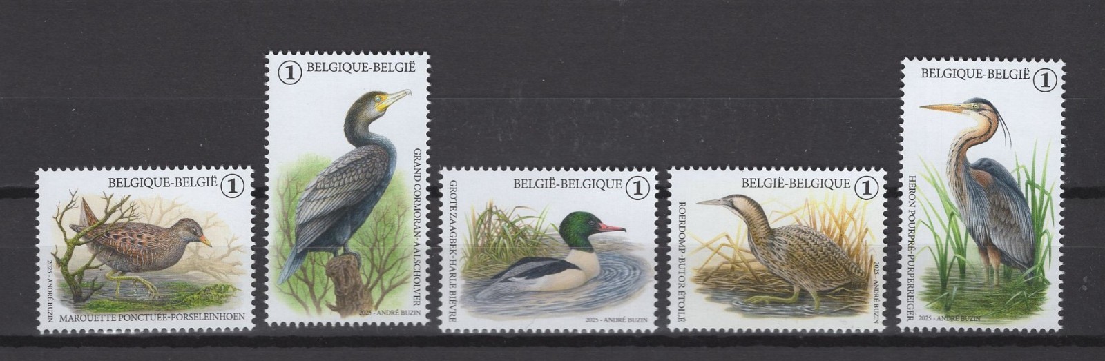 BELGIUM 2025 buzin birds MNH** N202509