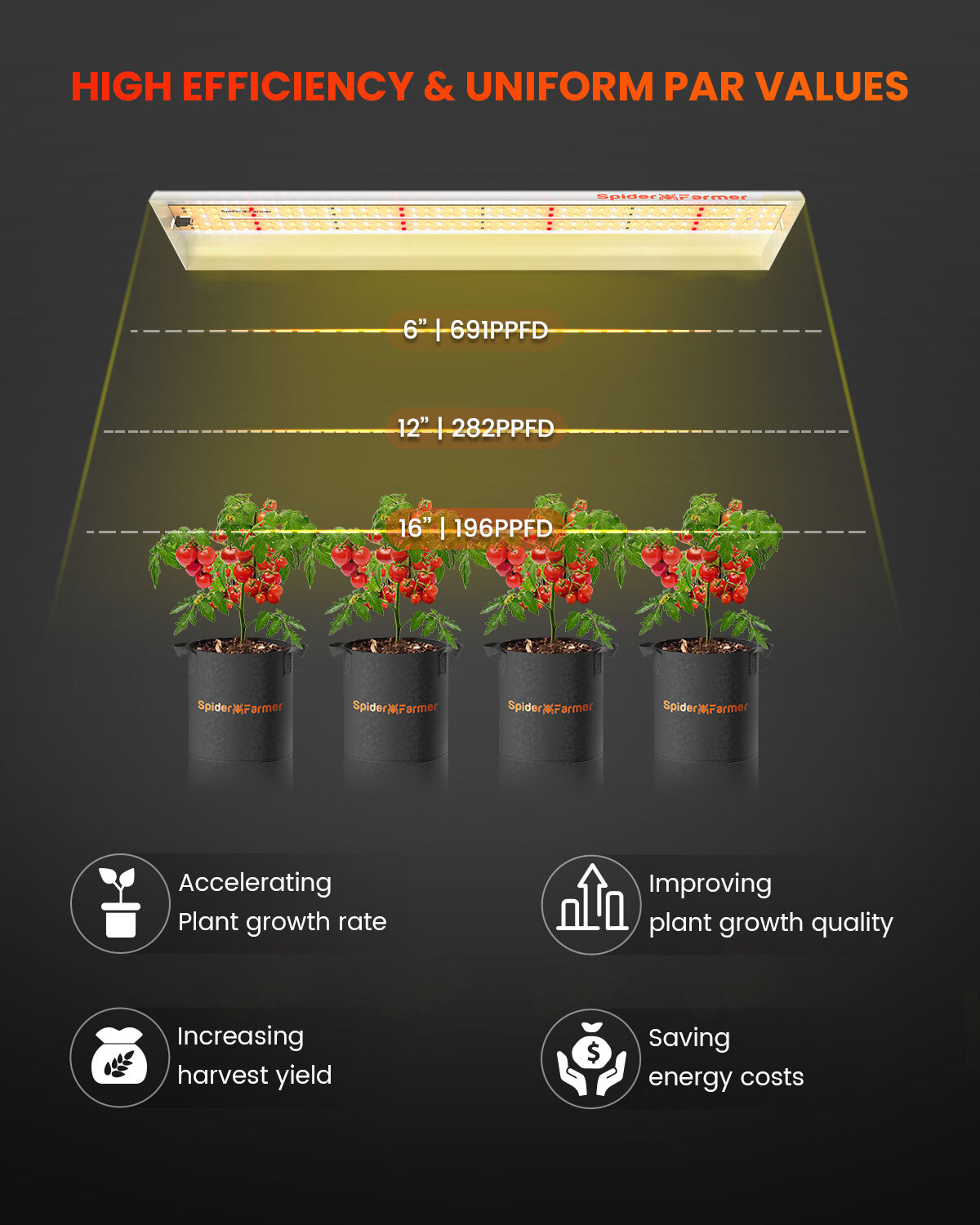 Spider Farmer SF1000 2000 4000 7000 LED Grow Light Full Spectrum for Grow Tent
