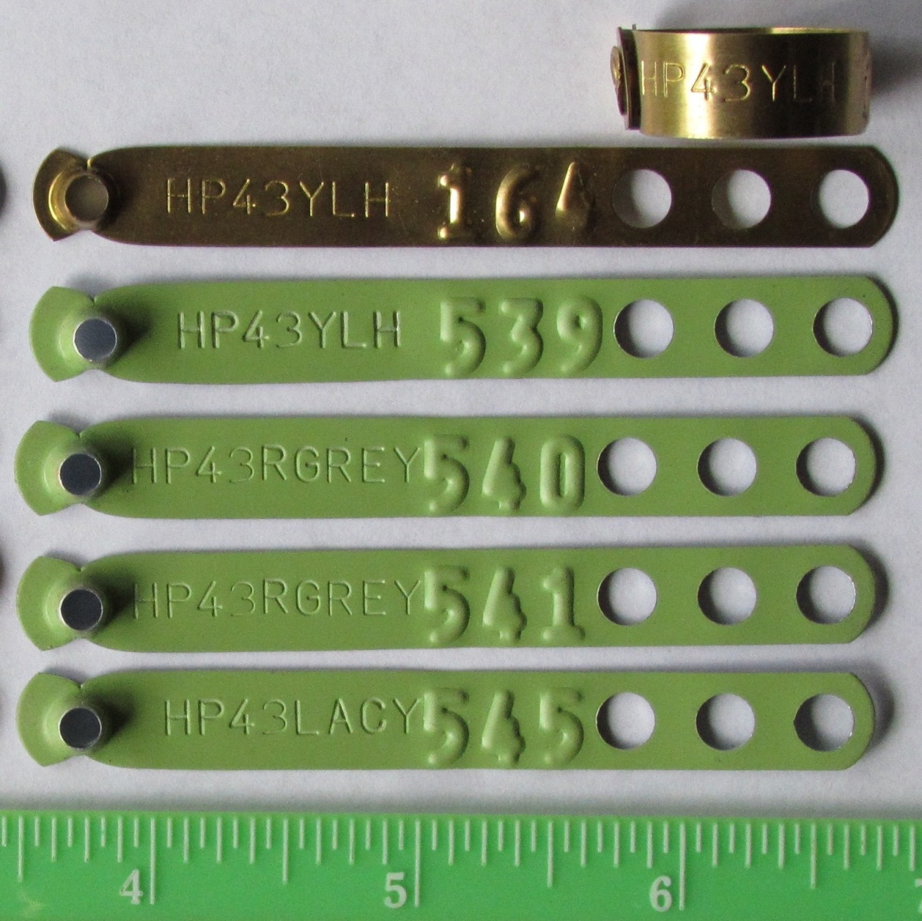 Leg Bands 100pcs Aluminum Chicken Pheasant Poultry Duck Bird Leg Rings ID Tags