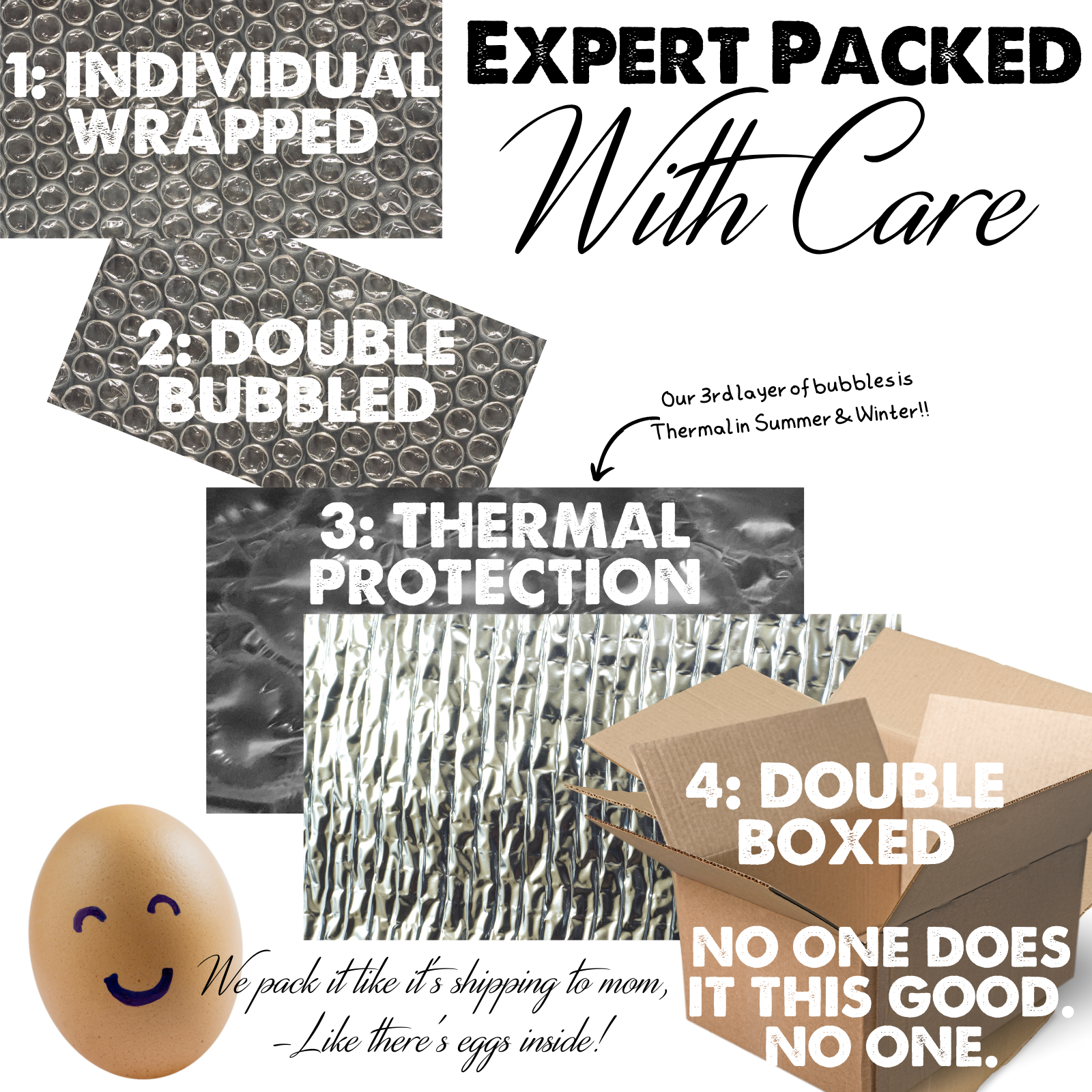 6+/12+/42 Rhode Island Red Hatching Eggs: Fresh, Fertile, Unmixed, Free Range