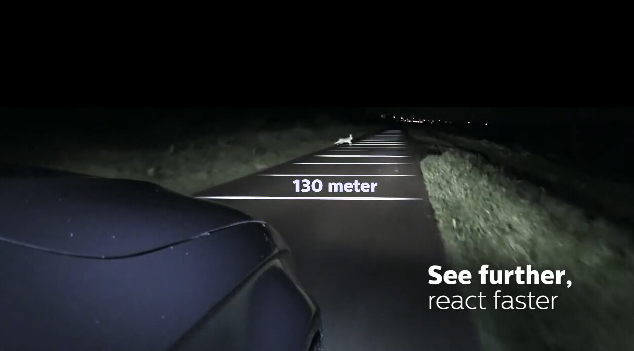 Flosser Rally H11 90W 12110 Two Bulbs Head Light Low Beam Replace High Wattage