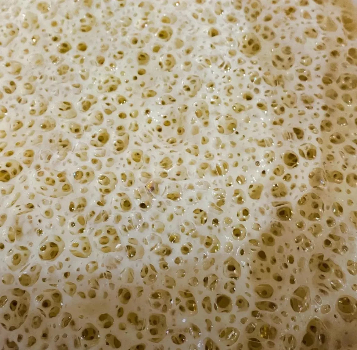 4500 year old Ancient Egyptian Sourdough Starter - Organic Dehydrated Culture