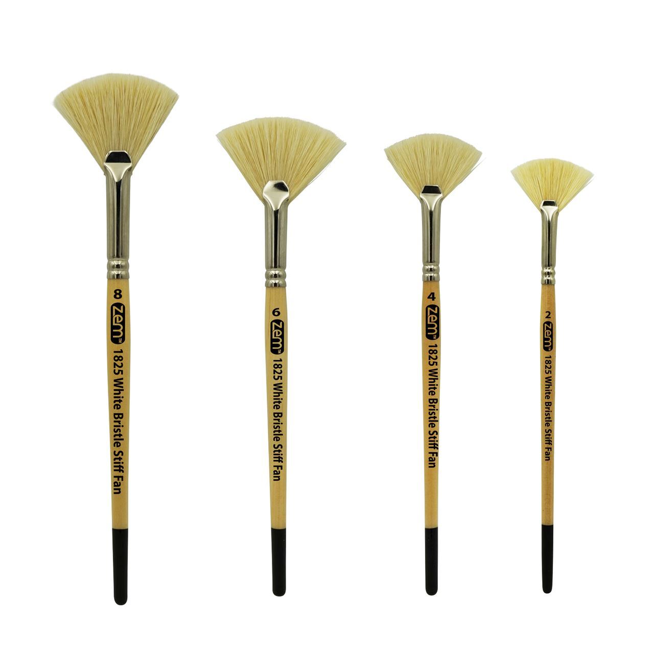 AS-120 White Stiff Fan Hog Bristle Brush Set 4pcs