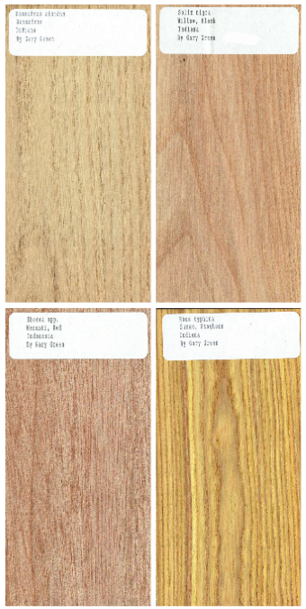 40 pc. Set of 1/2 x 3 x 6" Wood Samples for Collecting, Knife Scales, etc. Set 1