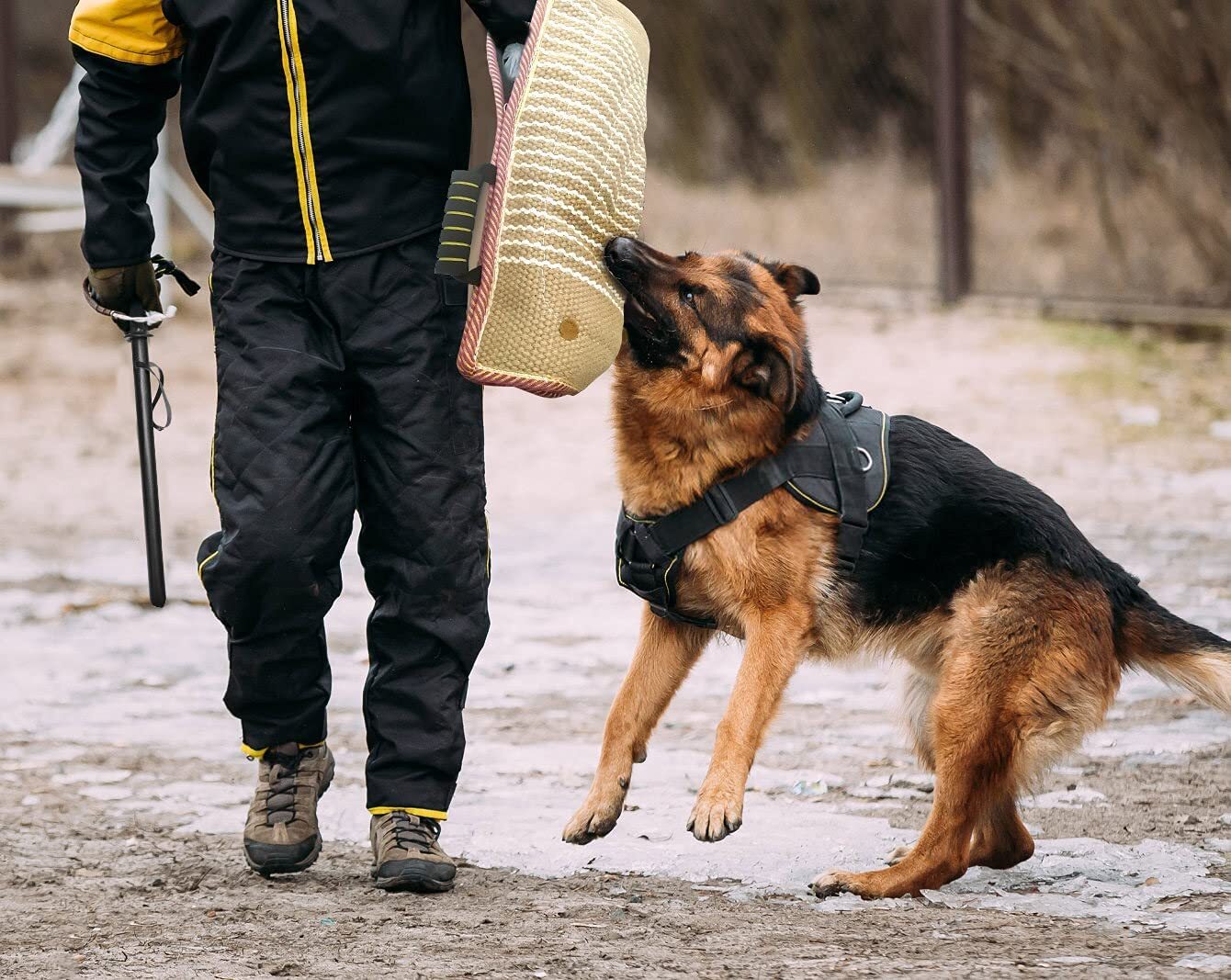 Dog Bite Training Set Dog Bite Sleeve Arm with Whip Agitation Stick Professio...