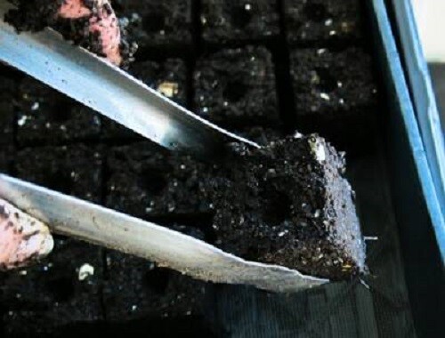 Ladbrooke Soil Blocker 2-Pc Set - Micro 20 w/ Cubic Inserts. Authorized Reseller