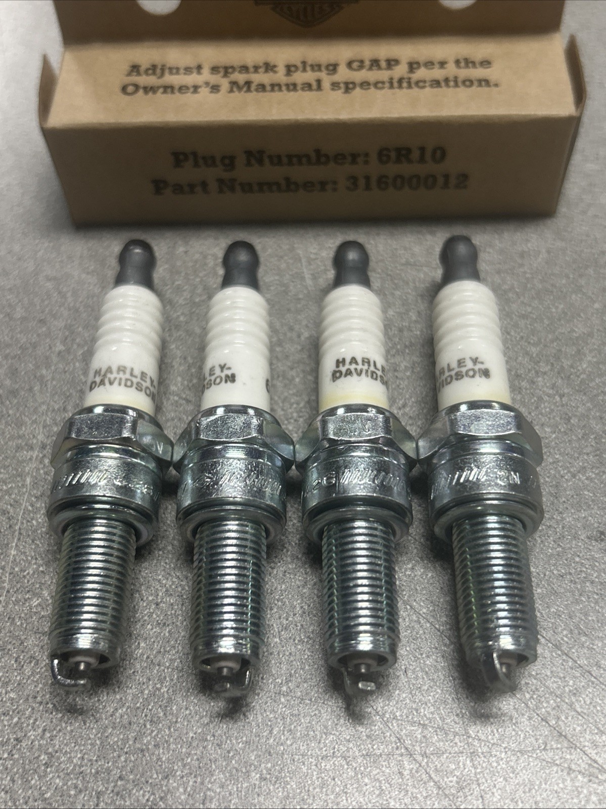 Harley- Davidson OEM 6r10 spark plugs 31600012 M8
