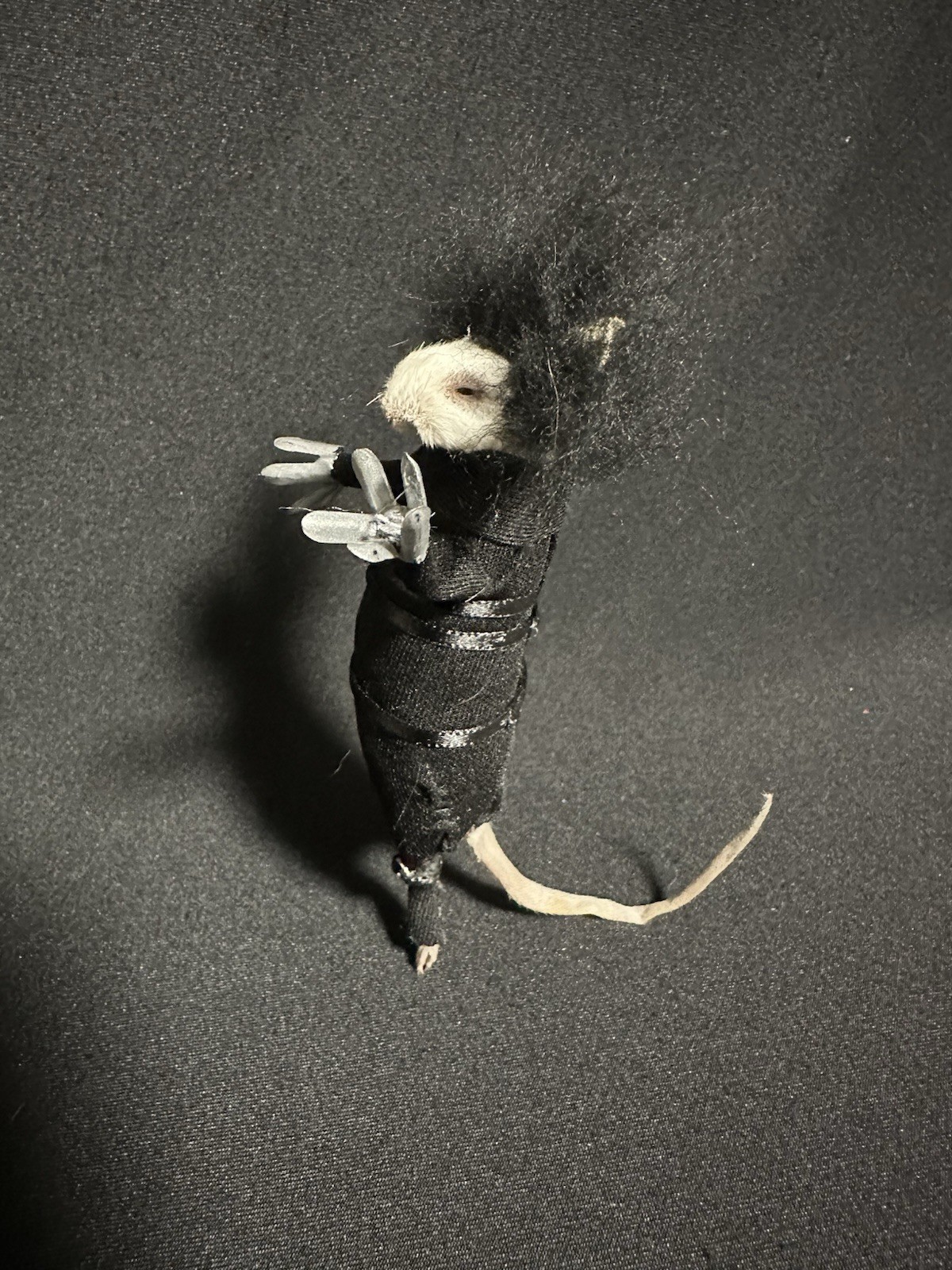 Taxidermy Mouse Edward Scissorhands Mouse Oddities Curiosities Taxidermy Art