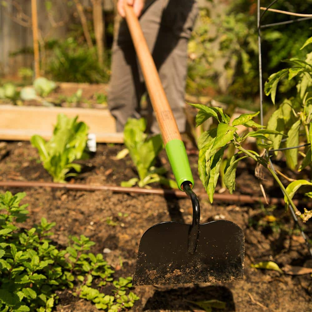 Welded Garden Hoe