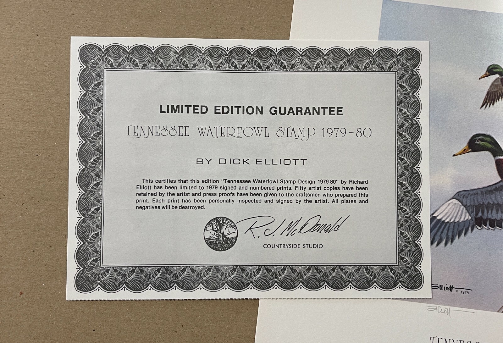 1979 TENNESSEE - State Duck Stamp Print - with STAMP! **First of State**