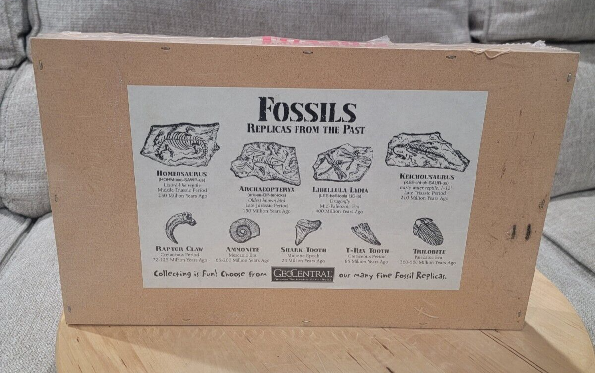 GeoCentral Keichousaurus, Ammonite, Raptor Claw - Fossils Replicas From The Past