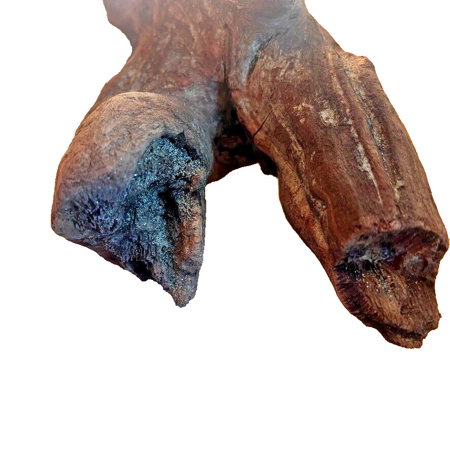 18" x 5" Redwood Driftwood Organic Craft Aquarium Rustic Boho Natural Wood