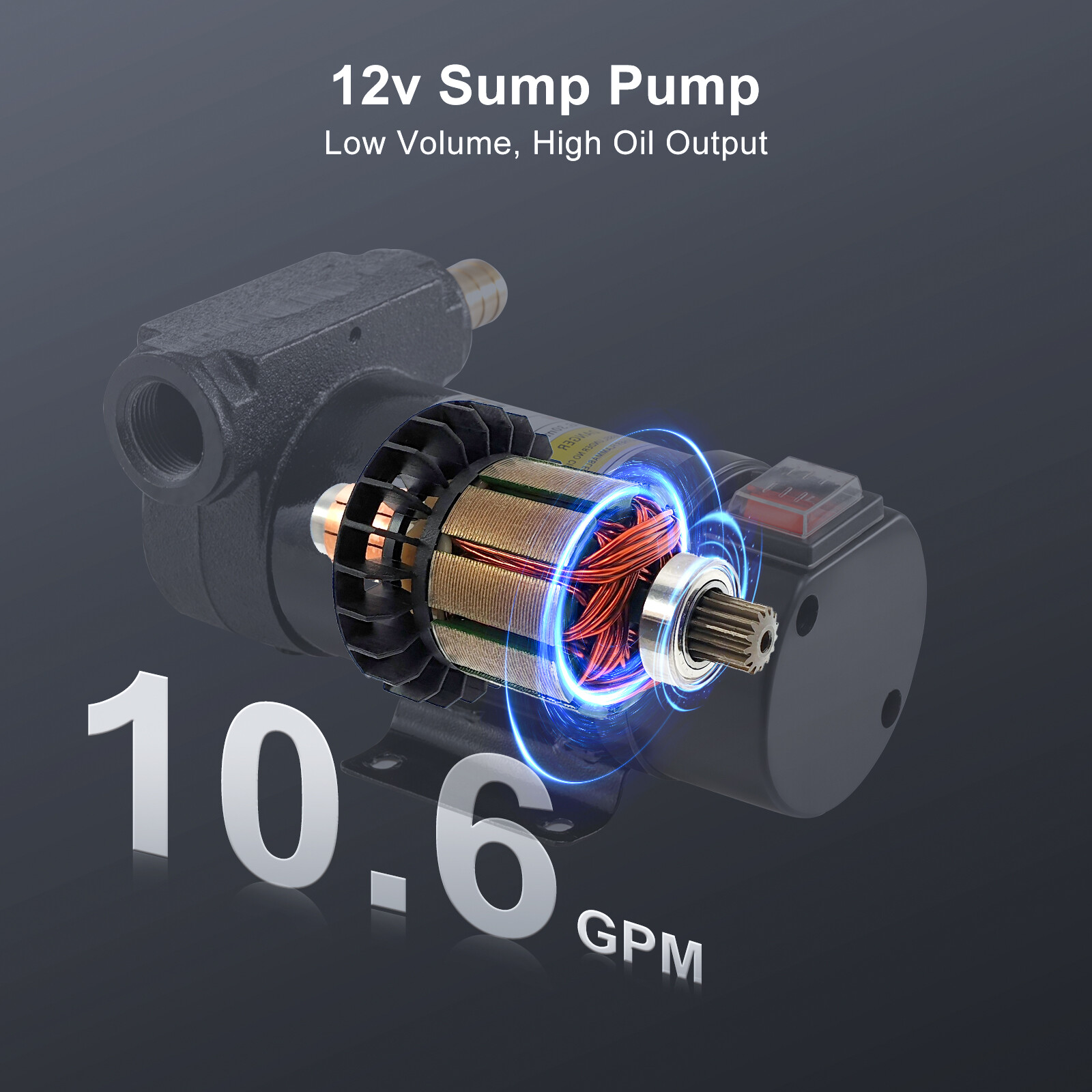 LoJok 4-Color Portable 52 Gallon Diesel Tank with 12V Electric Transfer Pump