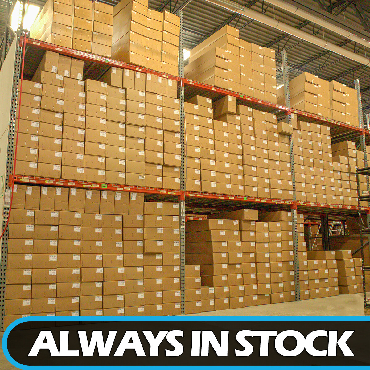 1991-1993 Ford F150 Passenger Side Transmission Cooler Lines Kit, Oe Steel