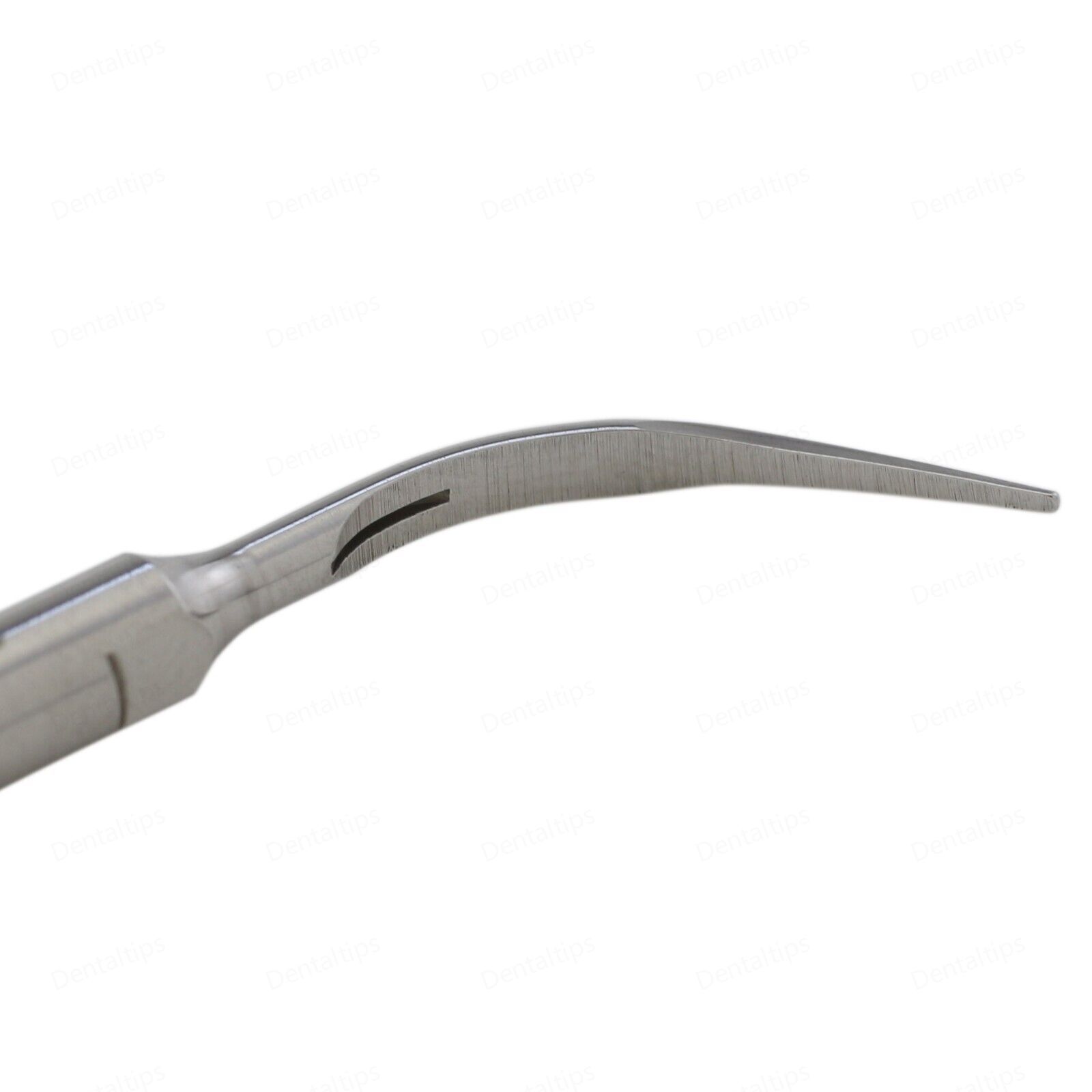 Dental Ultrasonic Scaler Scaling Tips 1S Fit Acteon Satelec Scaler P5 Handpieces