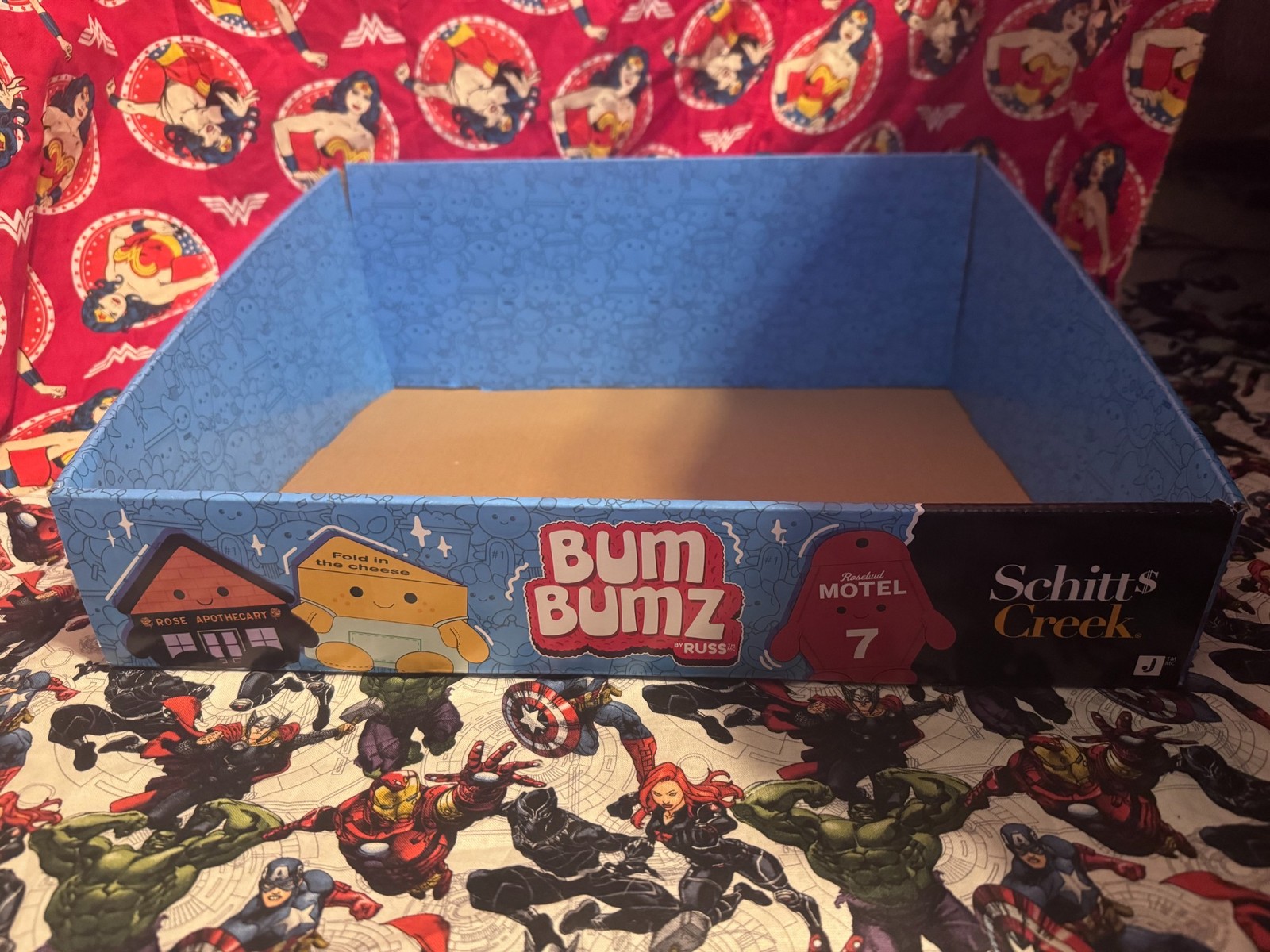 JAZWARES BUMBUMZ SCHITTS CREEK STORE DISPLAY BOX FOR COLLECTIBLES RARE NEW