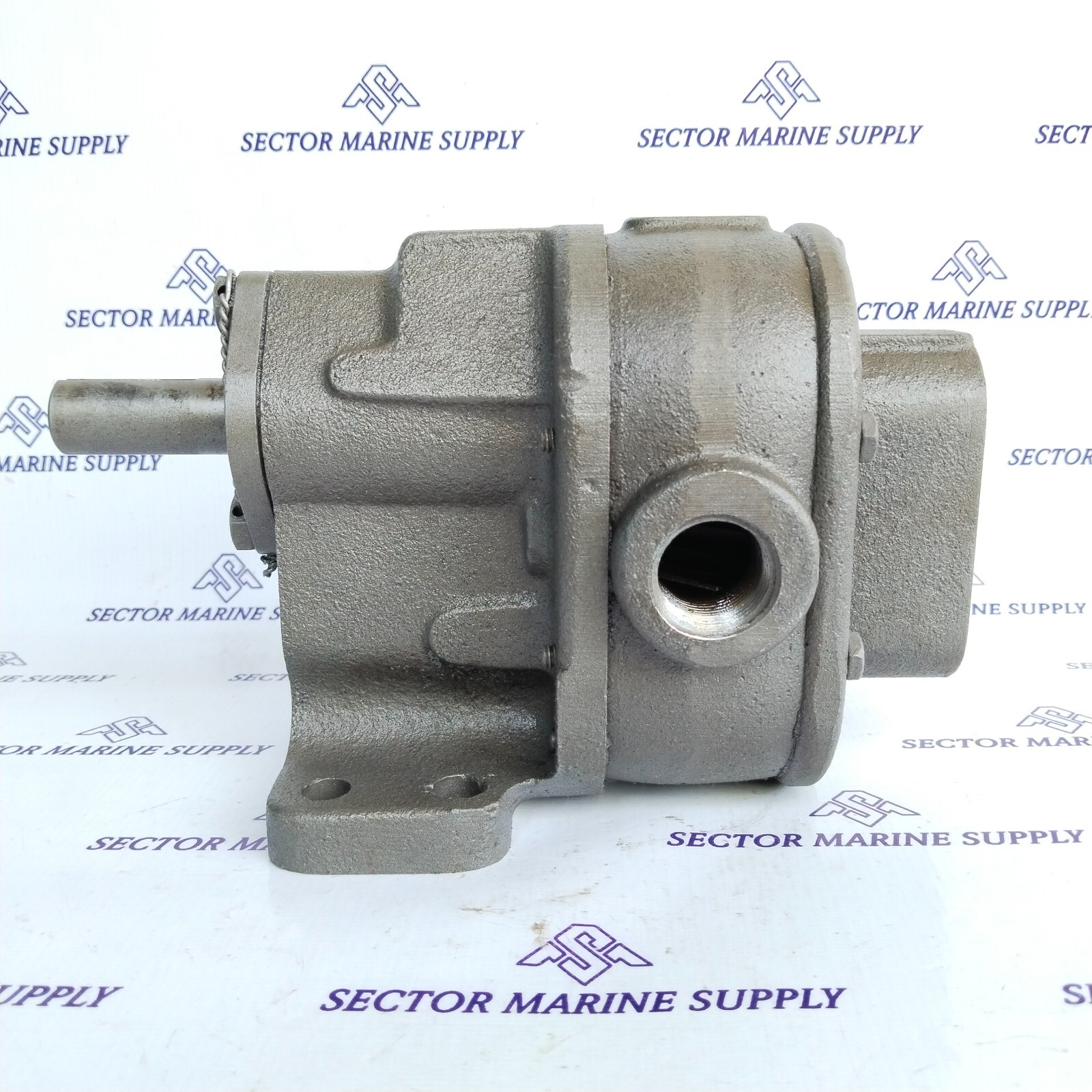 Brown & Sharpe BSM No.3 Rotary Gear Pump
