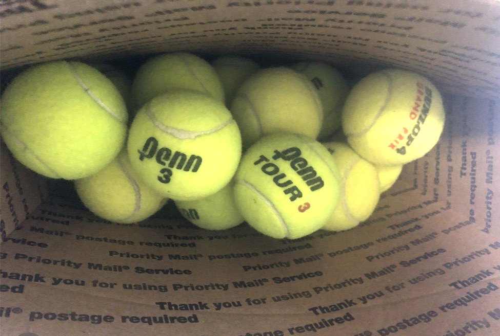 100 Used Tennis Balls, Dogs, Walkers, Schools