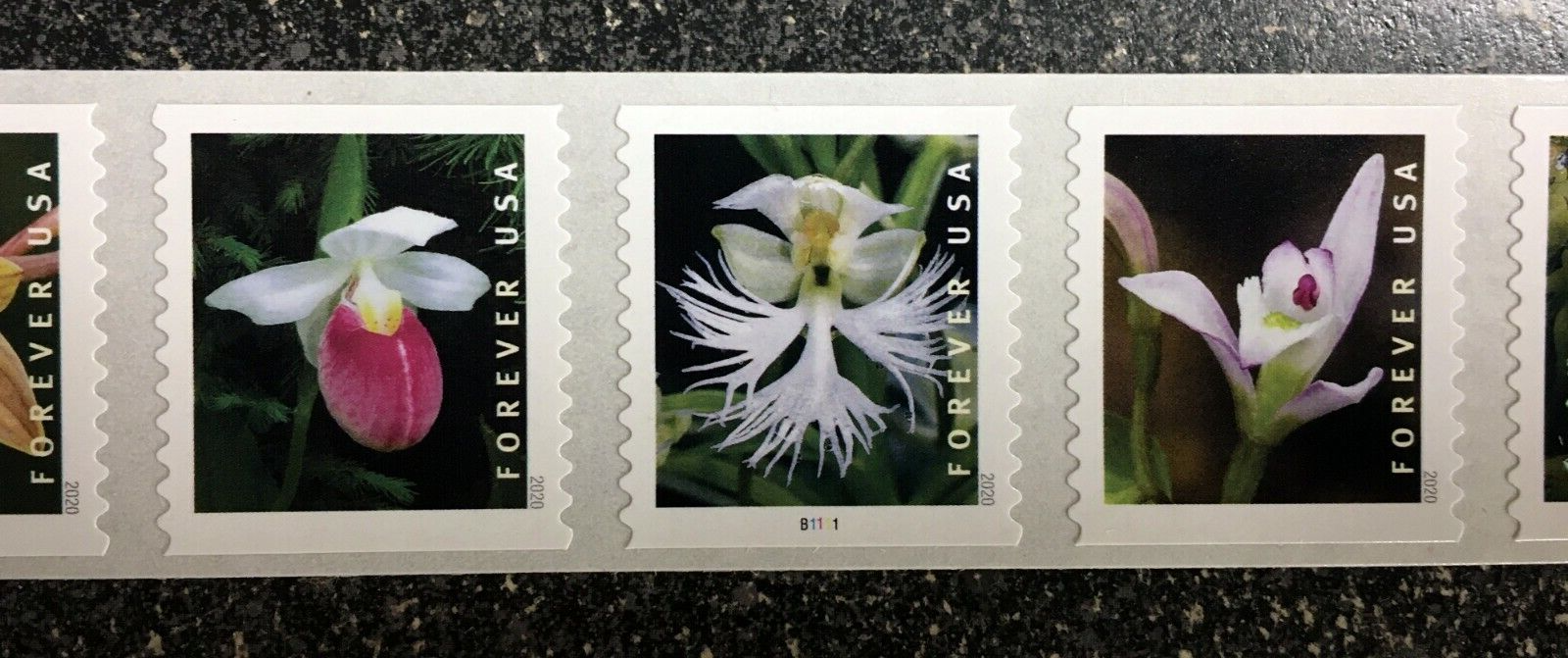 2020USA #5435-5444 Forever Wild Orchids - Plate Number PNC Coil Strip of 10 Mint