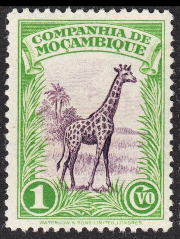 Mozambique Co 1937 GIRAFFE STAMP LOT TEN Mint Never Hinged Great Vintage Topical