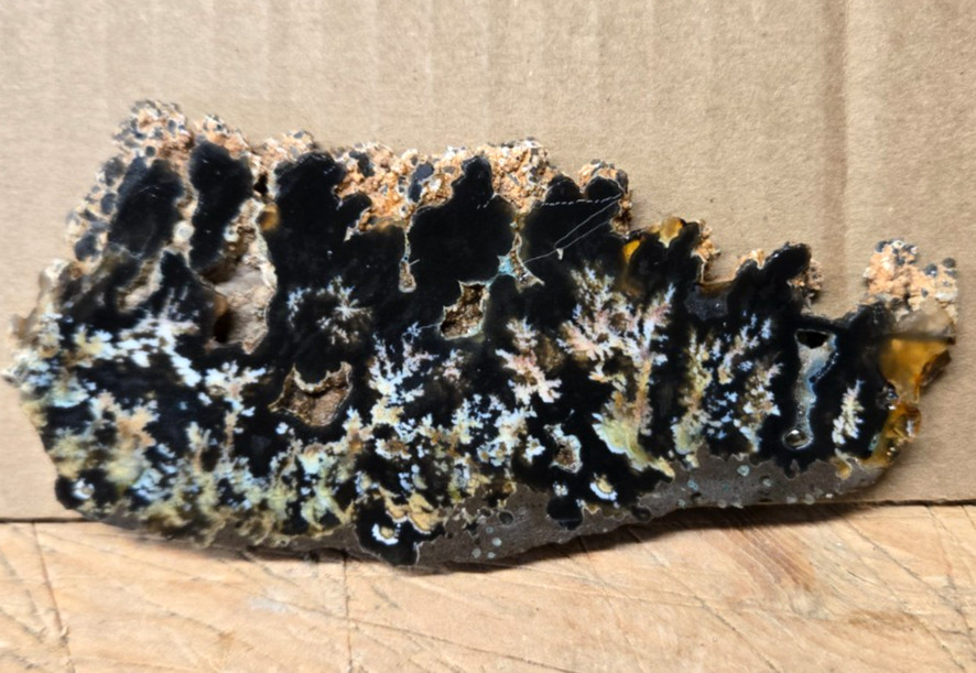 Assorted Plume & Moss Agates, Trimmed Cabochon Slabs Preforms 10 Pcs, Flat 118