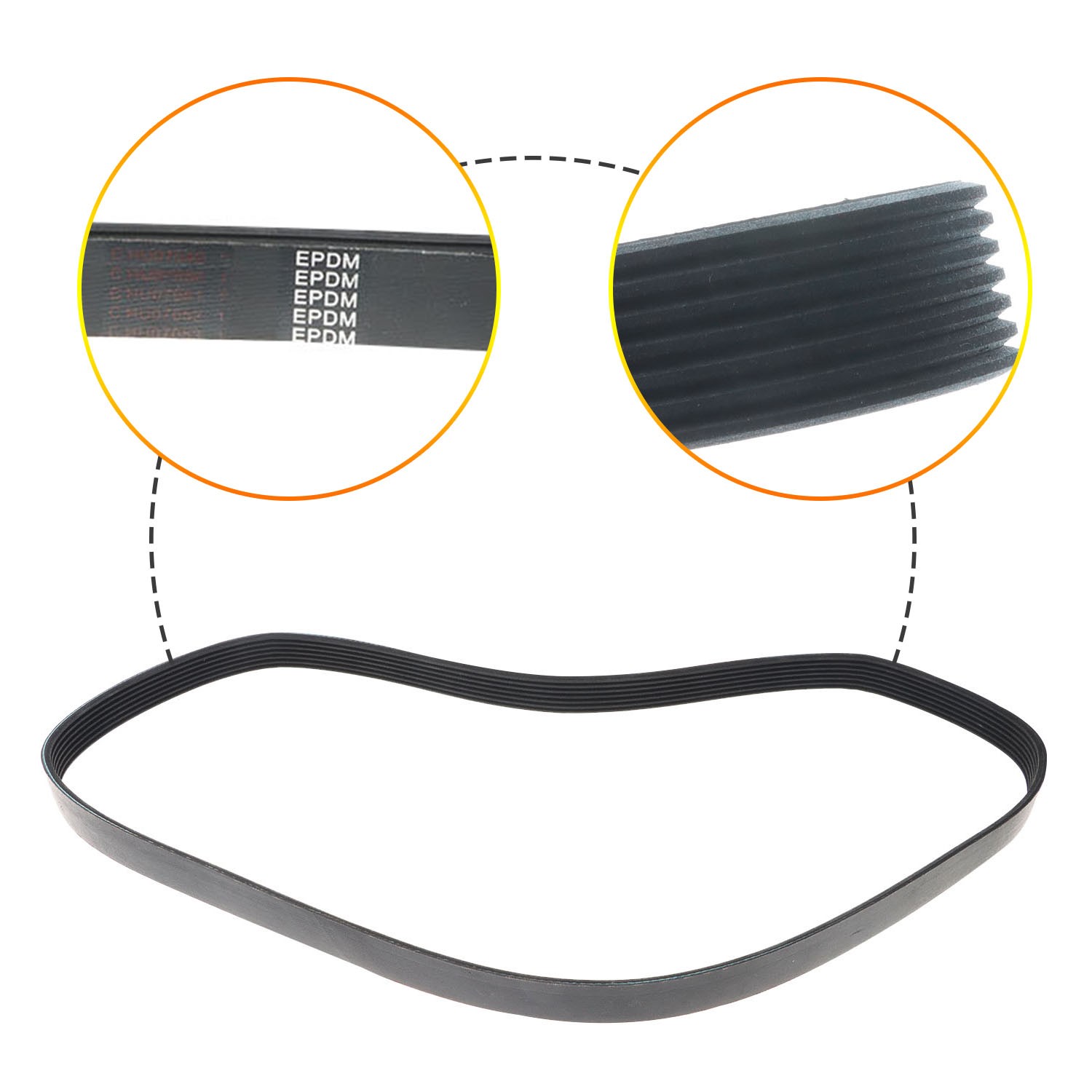 Engine Water Pump Belt for 5281957AA Jeep Wagoneer Dodge Ram 1500 2019-2024