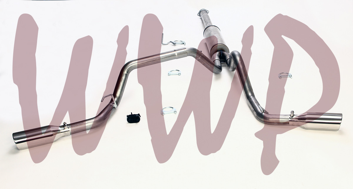 Stainless Dual Split Rear Exit CatBack Exhaust System 16-22 Toyota Tacoma 3.5L