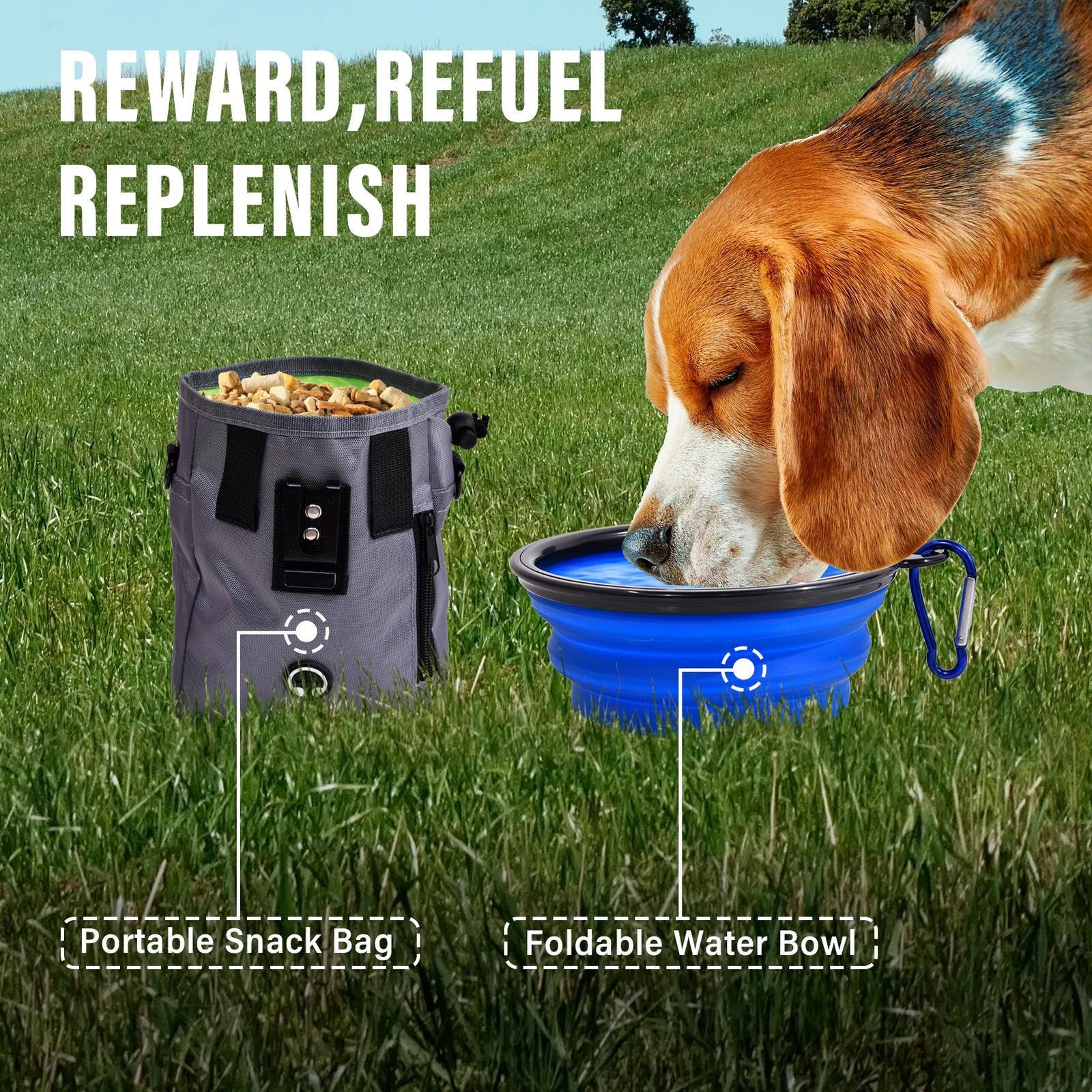 Dog Agility Course Backyard Set, Dog Obstacle Course Training Starter Kit