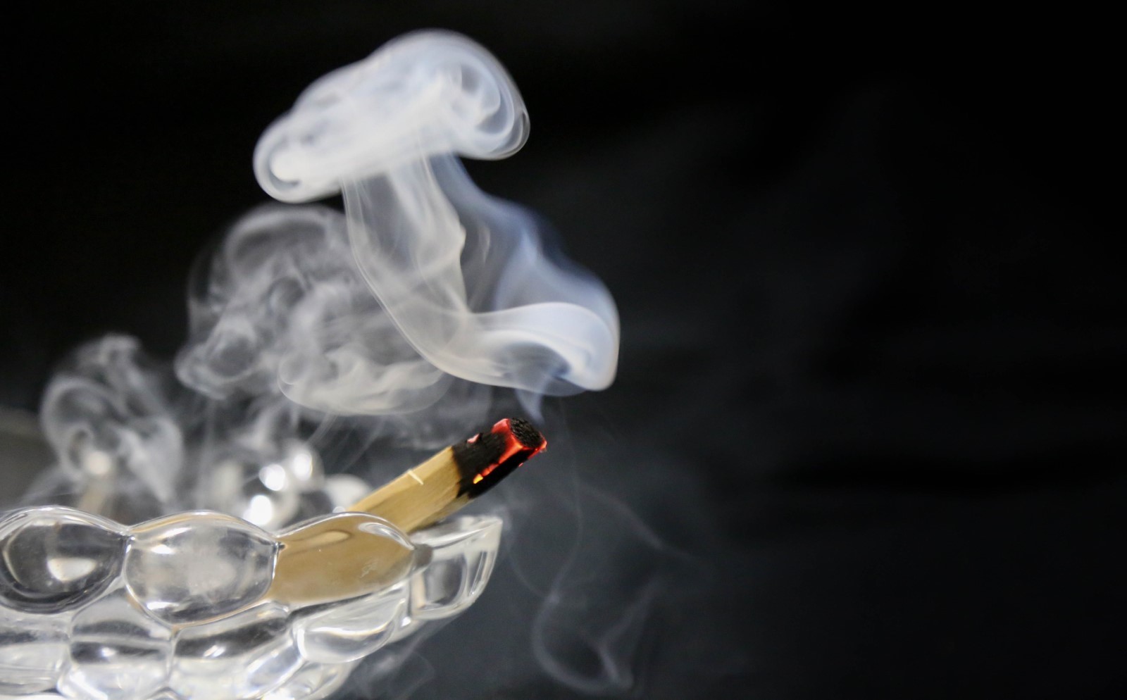 Palo Santo Incense 100 fresh sticks (4+inches long)