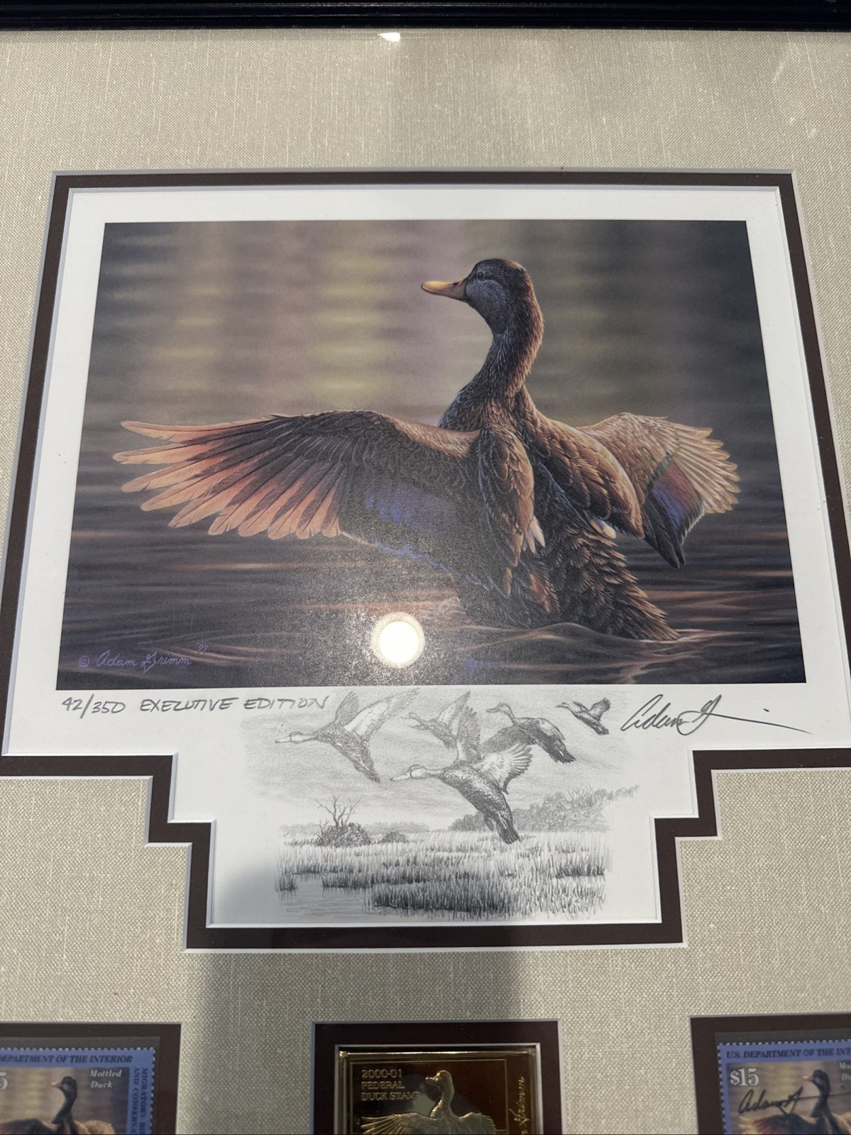2000 - Federal Duck Stamp Print **ADAM GRIMM Exclusive Edition 42/350