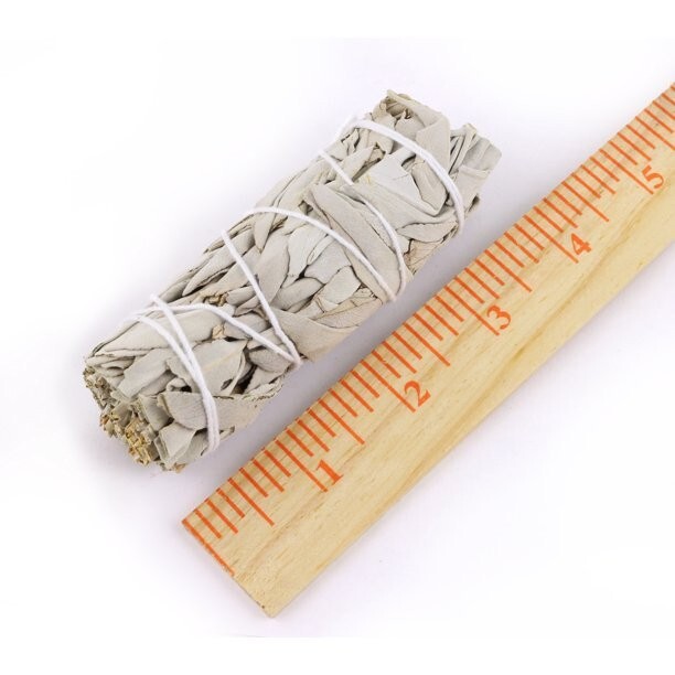 10 Pack 4 inch White Sage Smudge Sticks and Smudge Guide for Cleansing Spaces