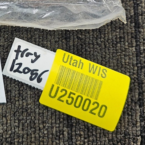 (QTY 75) ALLFLEX 301967: TAG - GLOBAL BUTTON ORANGE