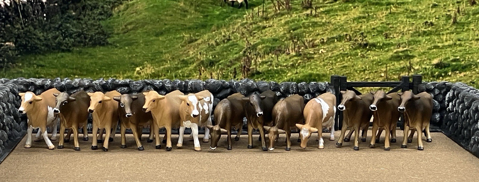 Custom CM Ertl 1:64 Lot Of 13 Jersey Dairy Breed Milk Cows Cattle Farm Scene