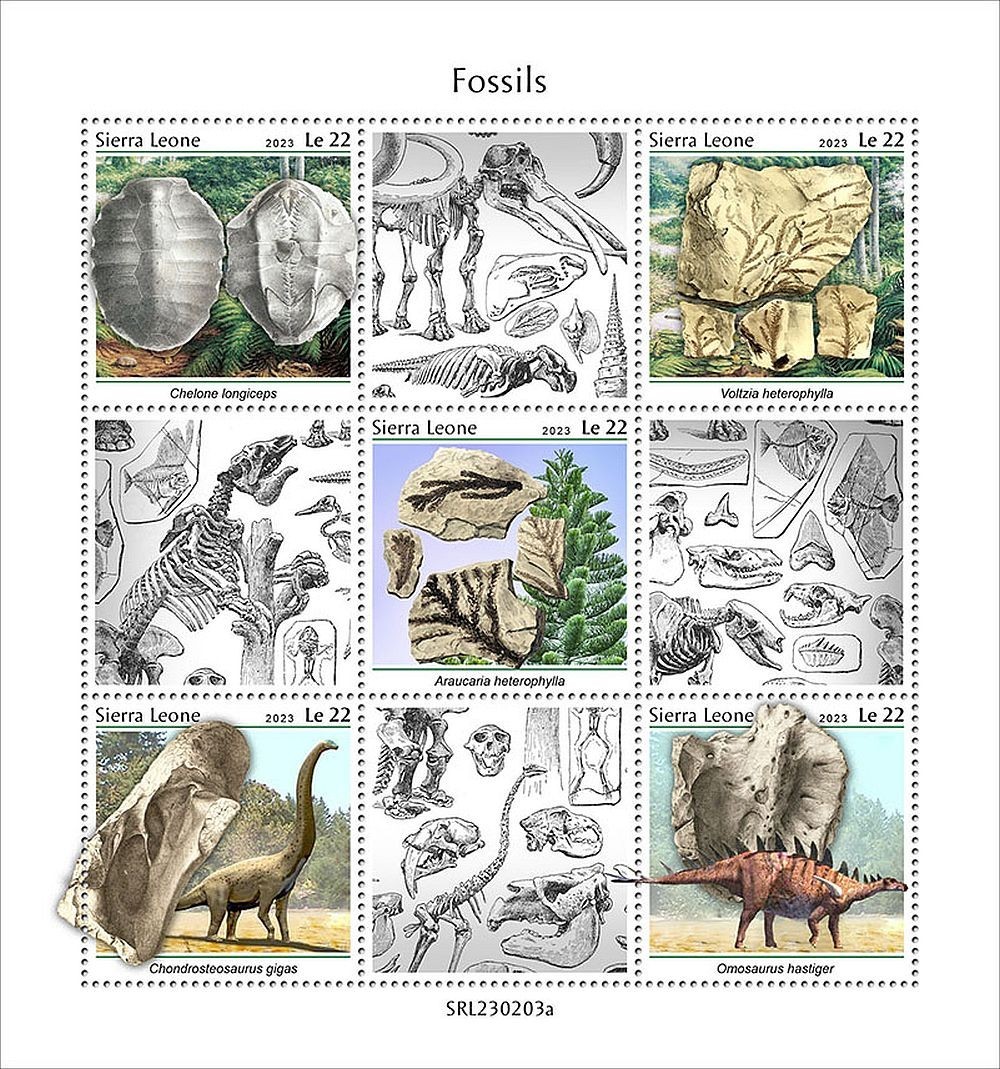 FOSSILS Prehistoric Animals Fossil MNH 5v-Stamp Sheet #34 (2023 Sierra Leone)