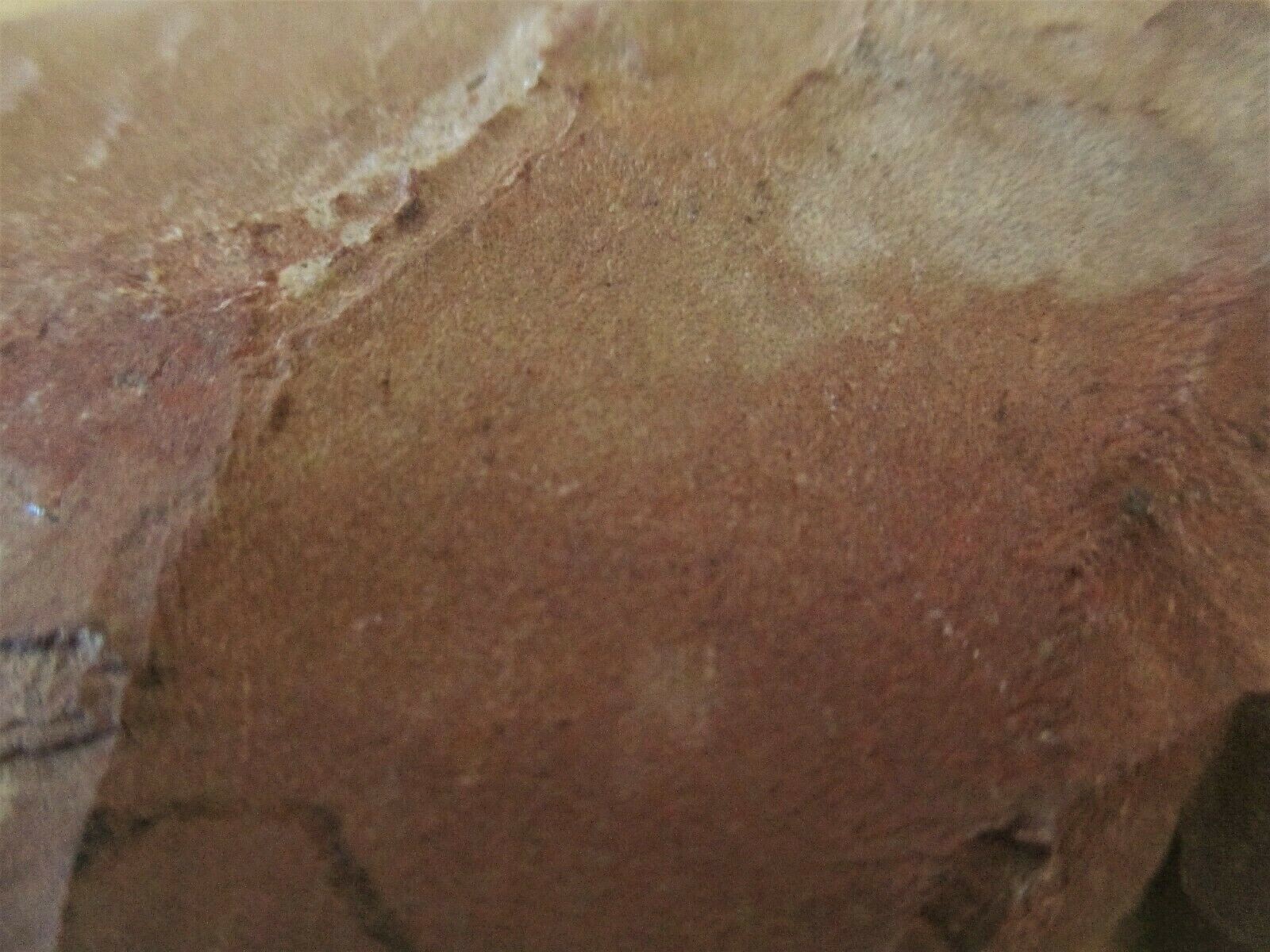 Antique Native American Indian Artifact Unfinished Spear Point? Skinning Tool?