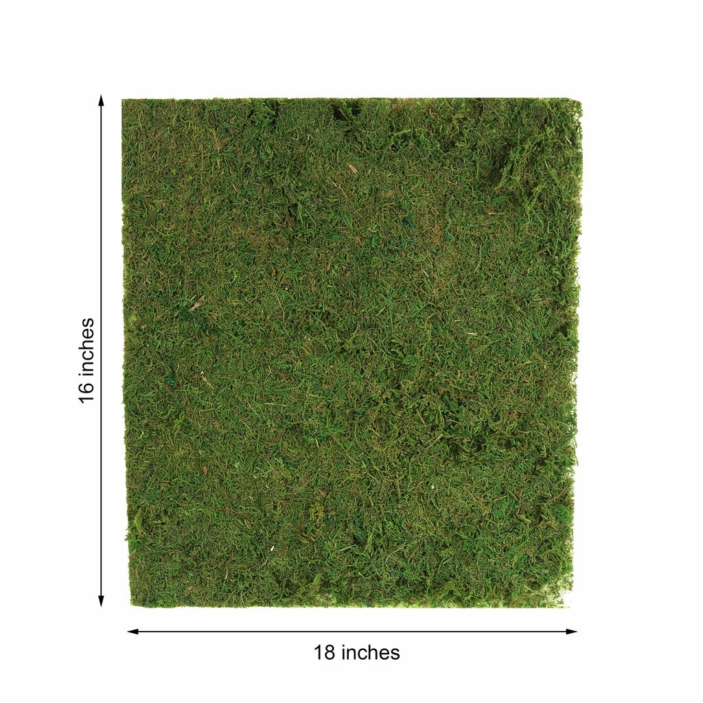 18" x 16" Green Natural Preserved Moss Sheet Party Wedding Crafts Decorations