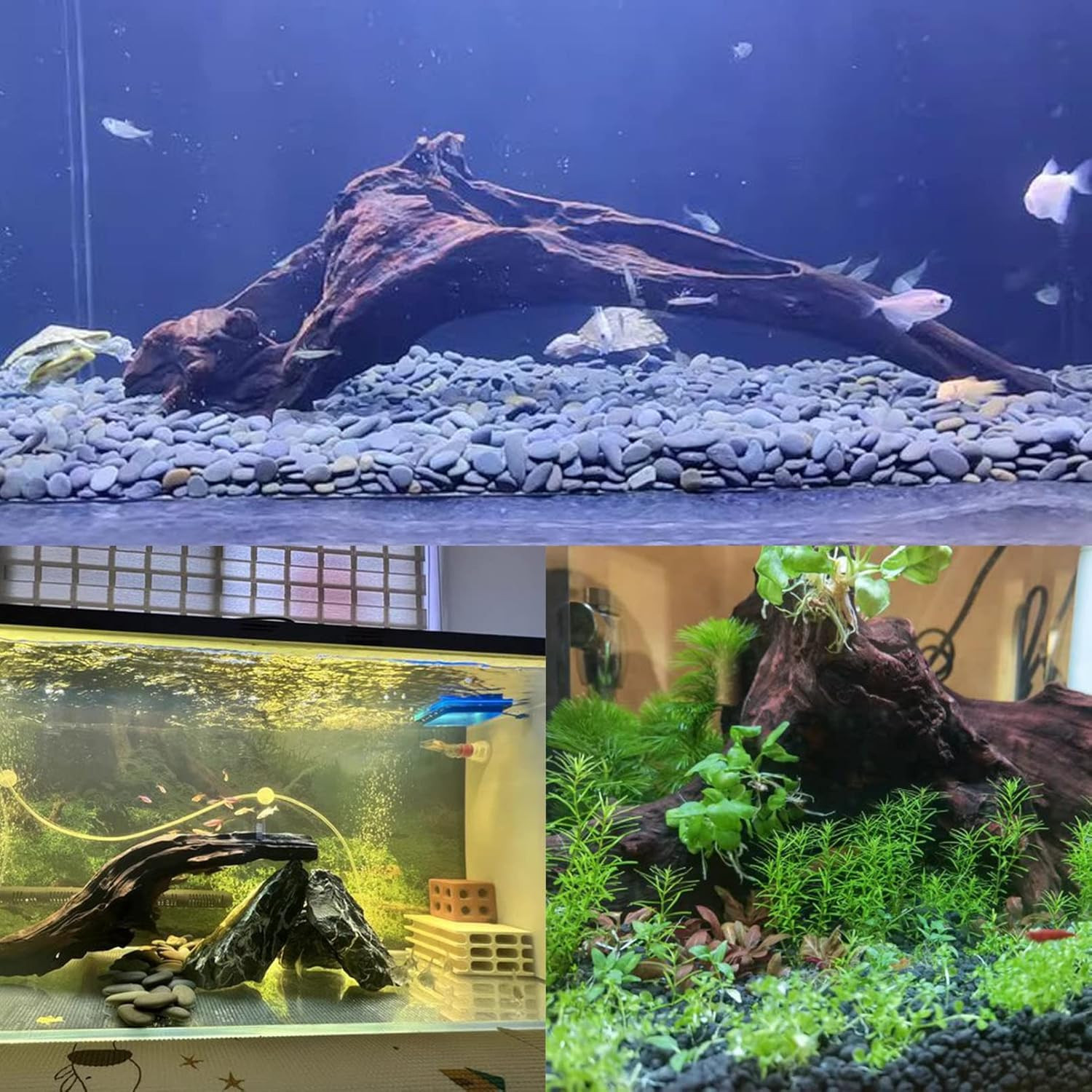 Natural Driftwood for Aquarium Decor-9-14 Assorted Large Driftwood,Fish Tank Dri