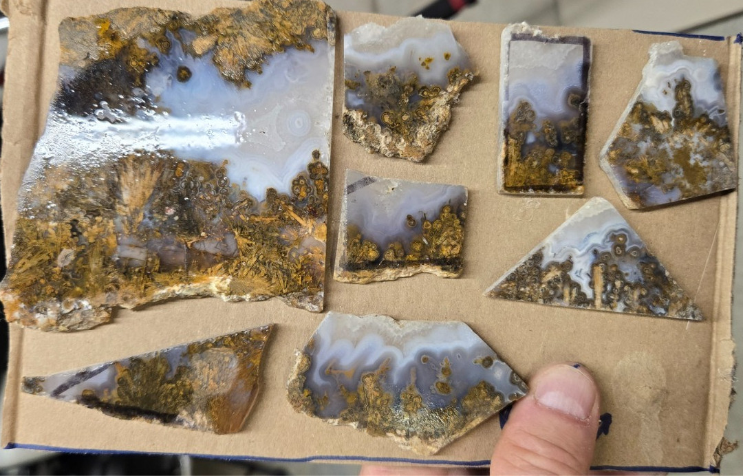 Sagenite Plume Agate Cabochon Slabs, Preforms, Slices, 8 Pcs, Flat 35