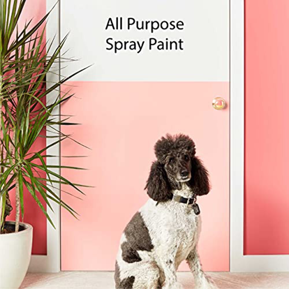 Krylon K05515007 COLORmaxx Acrylic Clear Finish for Indoor/Outdoor Use, Gloss Cr