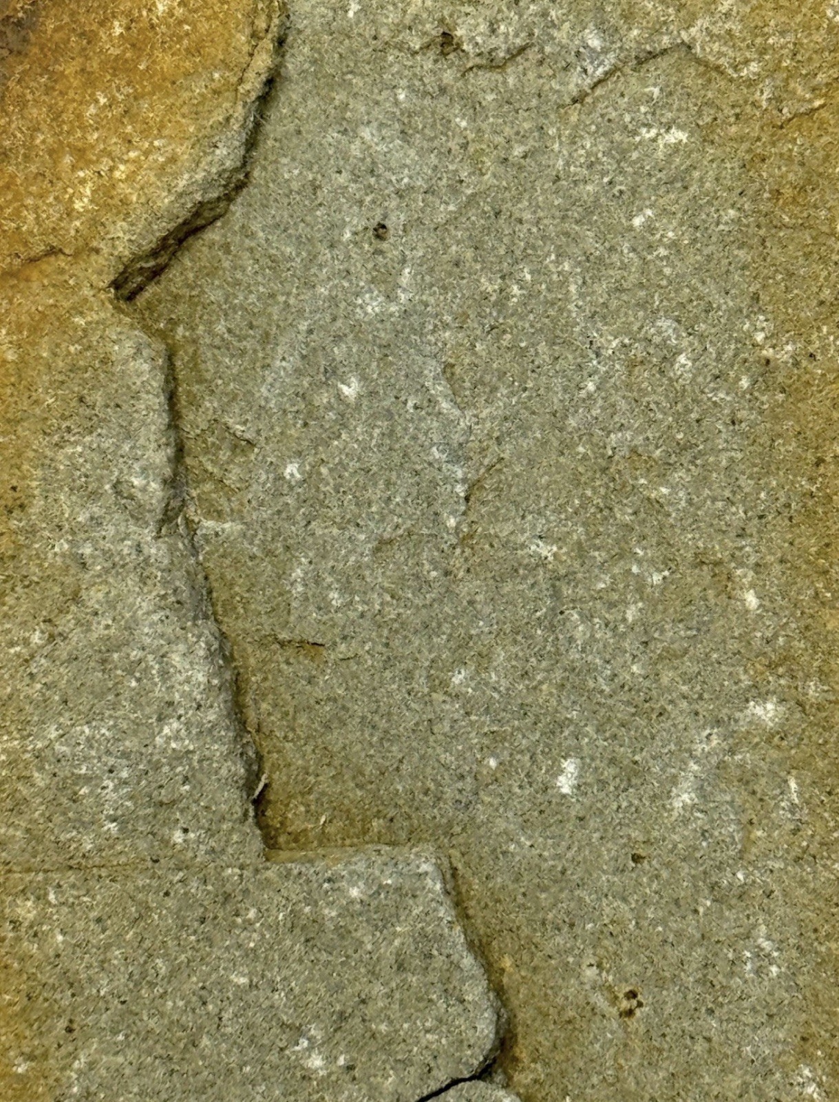 Native American Indian Authentic Artifact Stone Carved Effigy, 2 lb 12 oz • VA