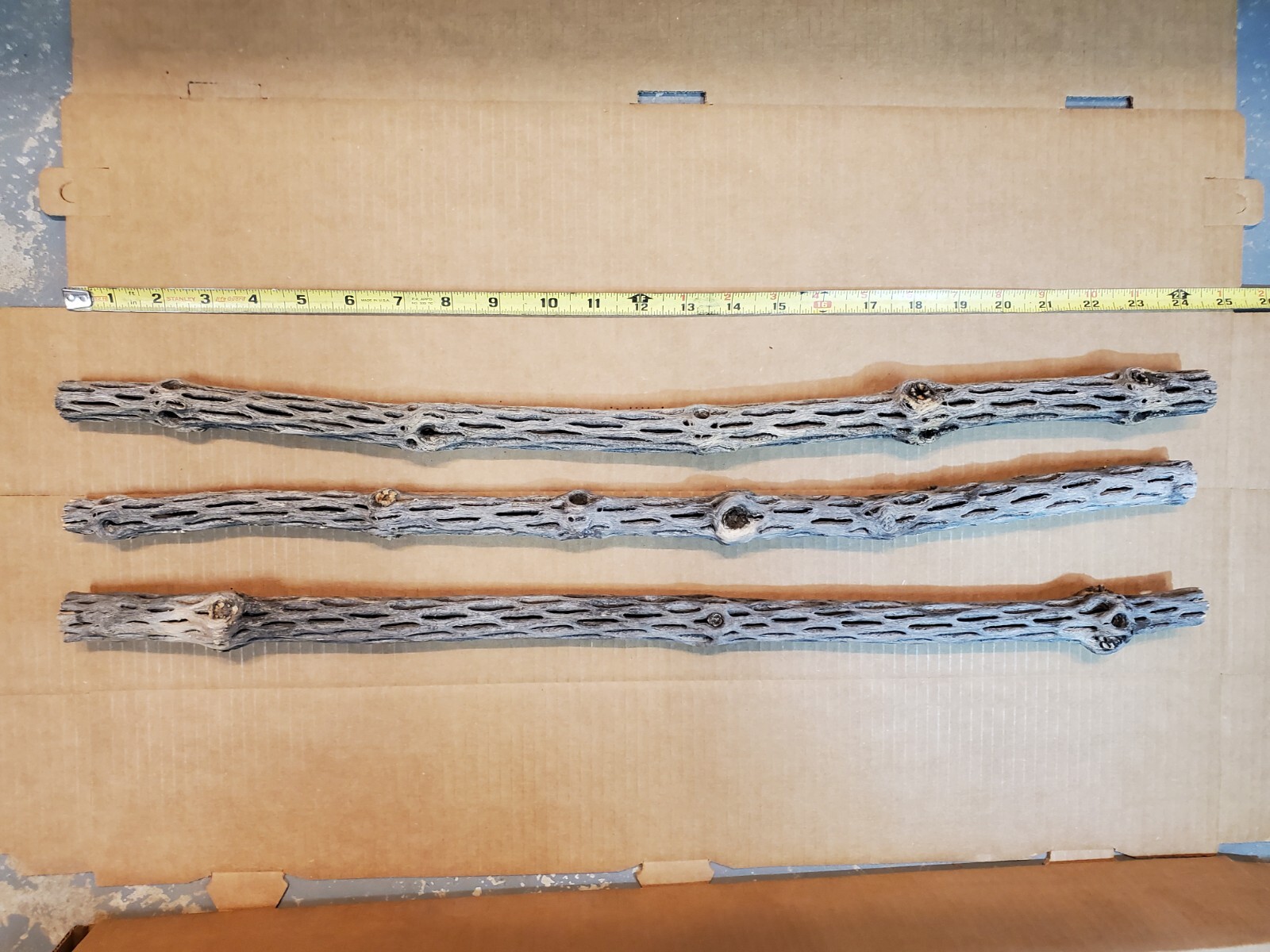 NEW! 3 CHOLLA Wood Pieces 24" inch EXTRA LONG Straight | Organic Aquarium Craft