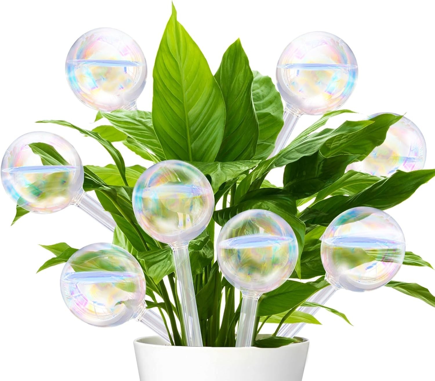 8Pcs Glass Self Watering Globes Rainbow Gradient Automatic Indoor Outdoor