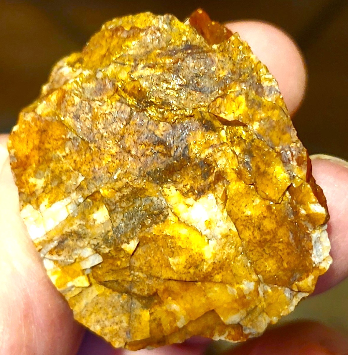 Gold Ore Specimen /Quality Visible Gold