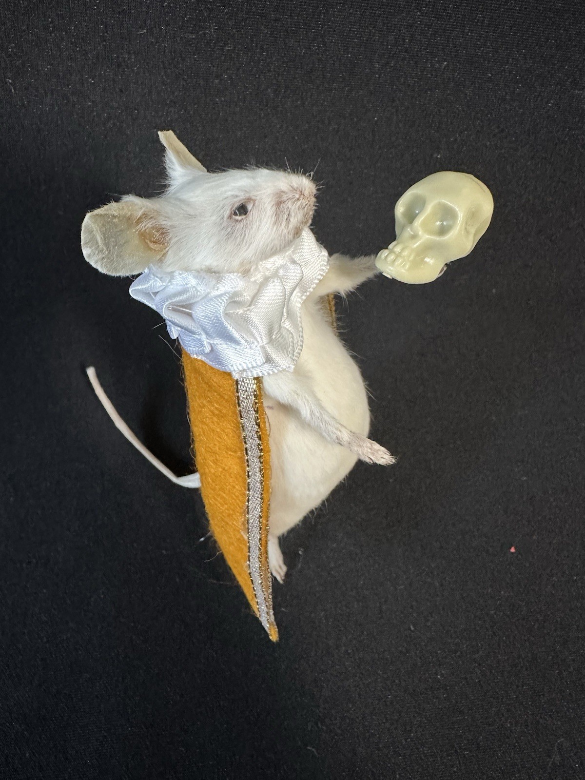 Taxidermy Mouse Hamlet Mouse Oddities Curiosities Taxidermy Art