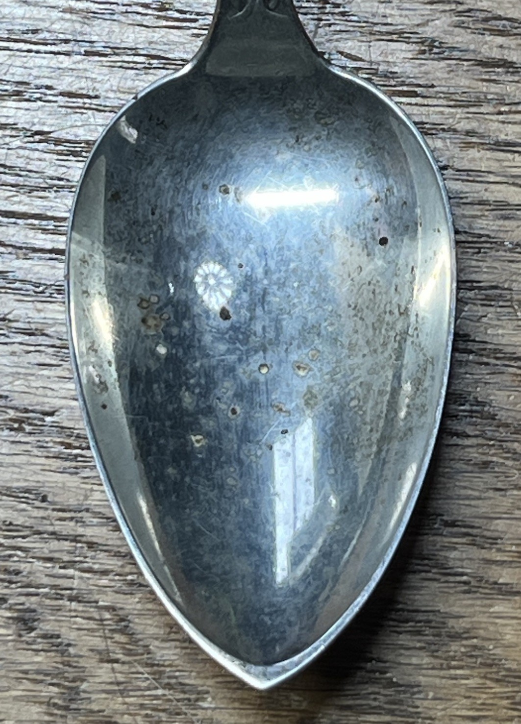 American Coin Silver Serving Tablespoon Realistic Fox Head F A B & Co Monogram