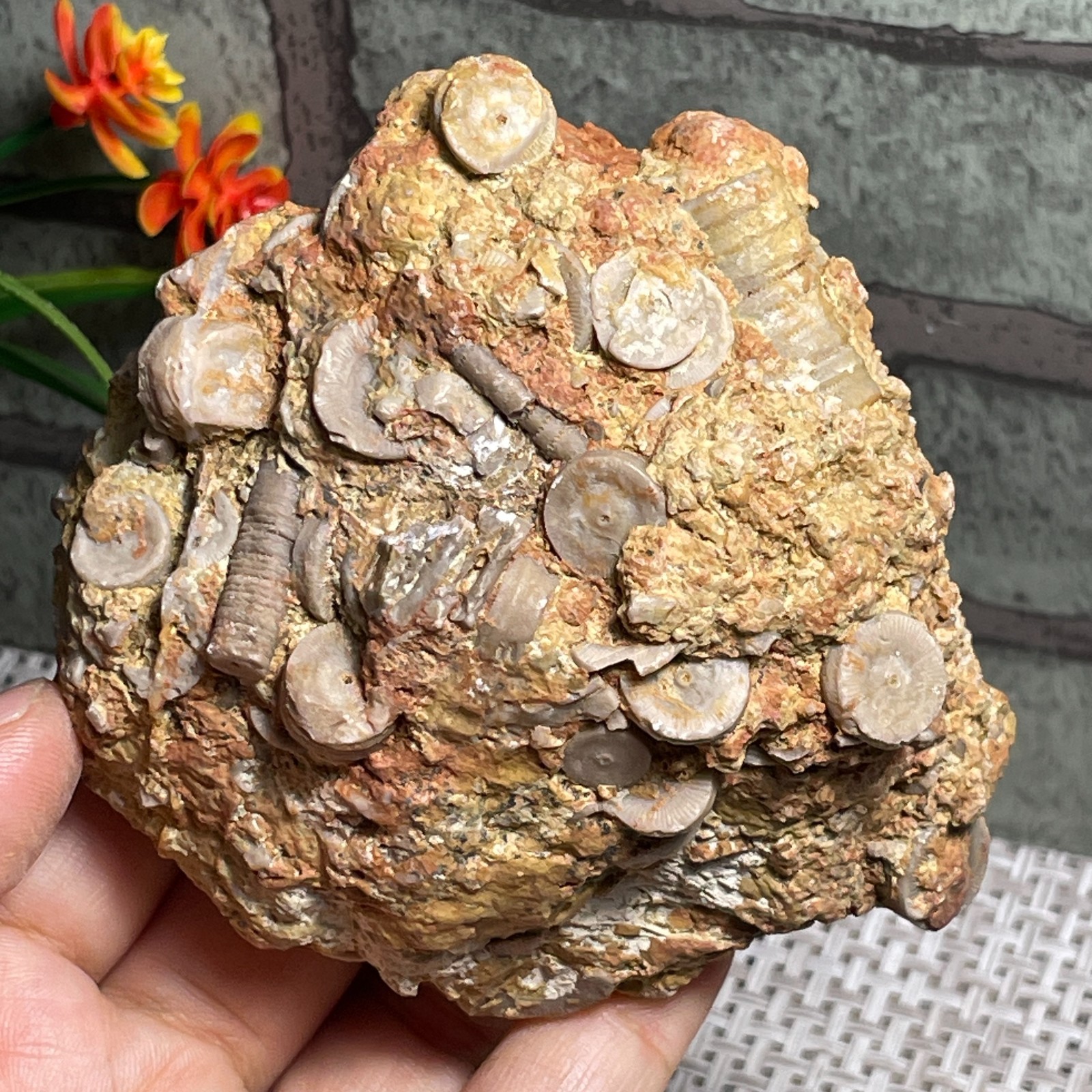 raw lily stone Madagascar - viewing Home decoration 367g A38