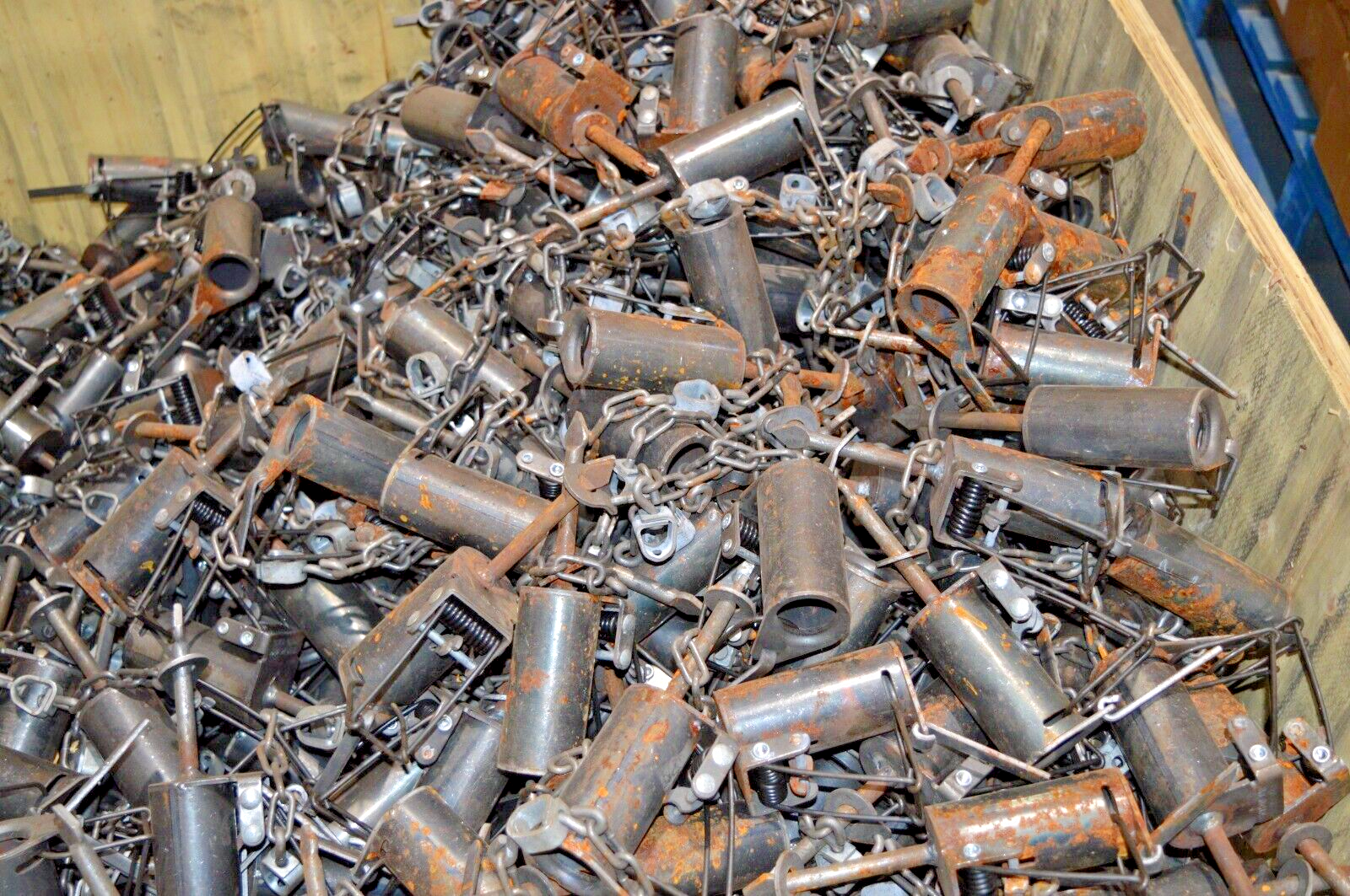 12, Brand New Cold Creek, Dog proof raccoon traps, coon, DP with setting tool